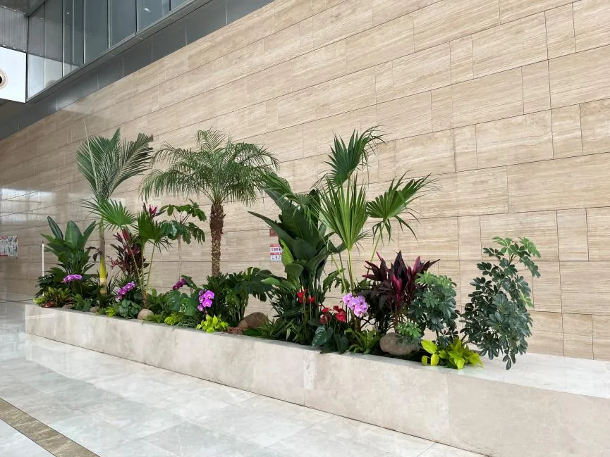 解锁宁波江北绿化修剪方案，邂逅自然之美